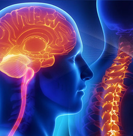 Medical Image - Brain and Spine